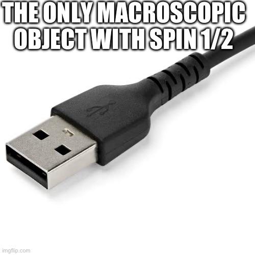 The Only Macroscopic Object With Spin 1/2