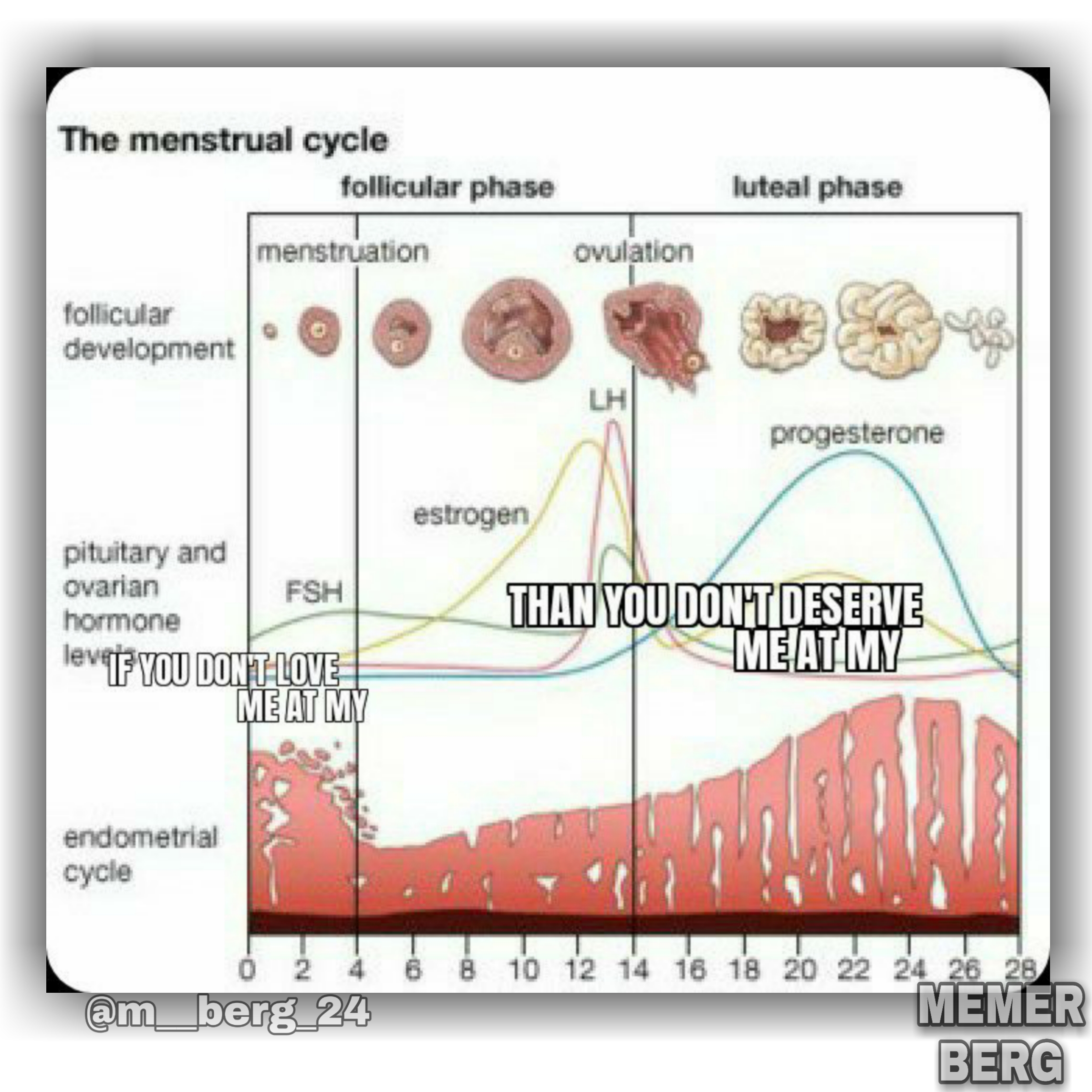 Hormonal Quotes: When Your Uterus Has Attitude
