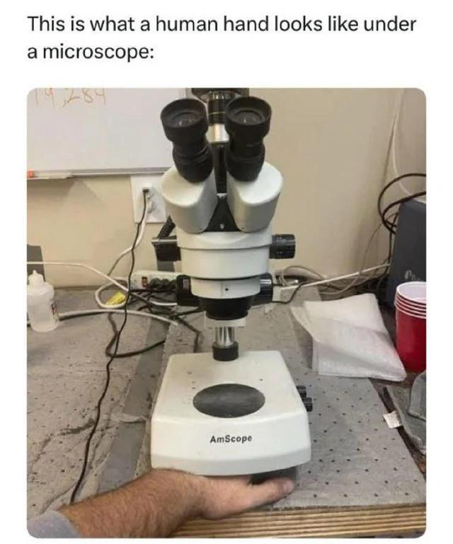 How Fascinating! A Hand-Some Specimen