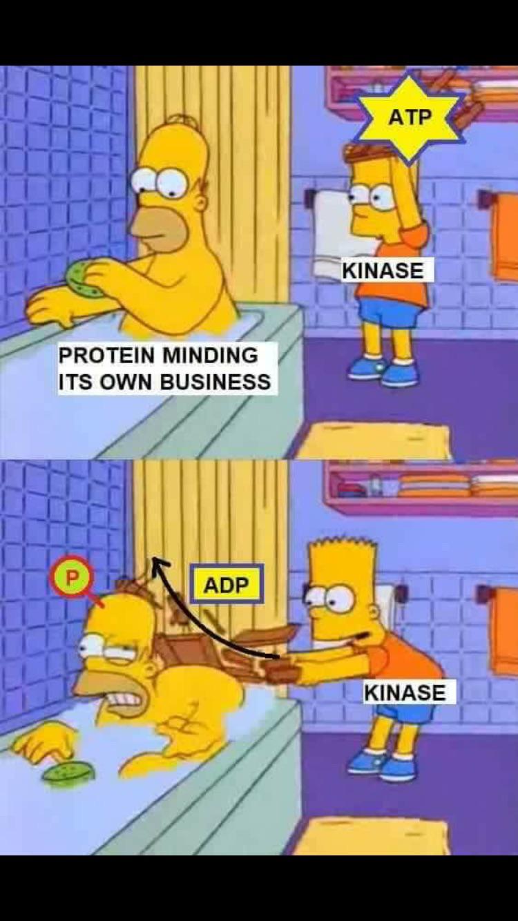 The Phosphate Ambush