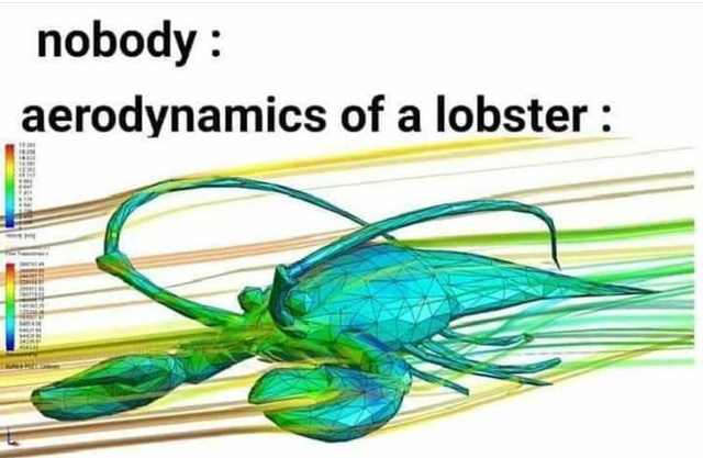 Aerodynamics Of A Lobster
