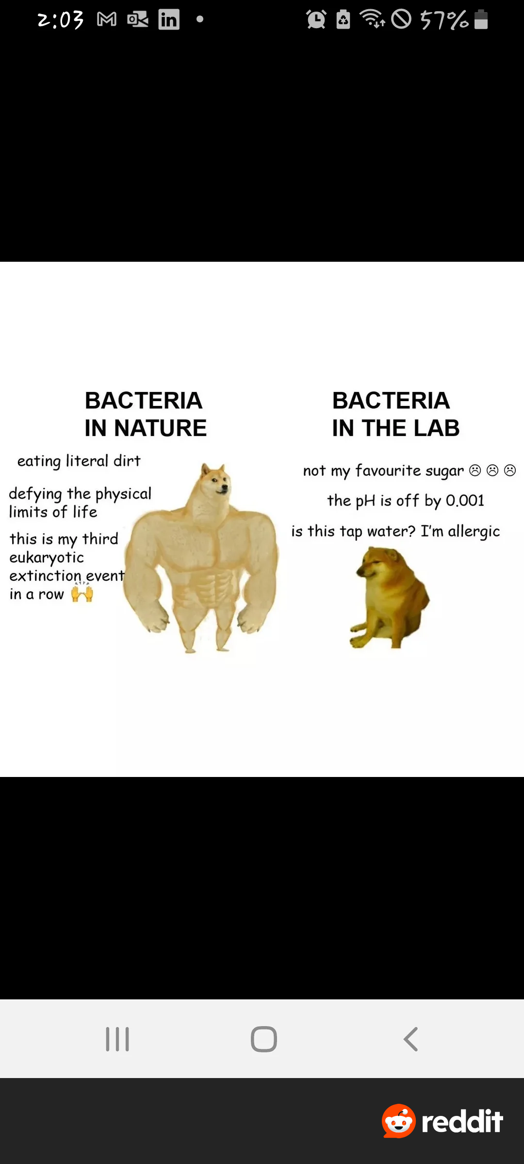 Giga Bact: The Duality Of Bacterial Existence