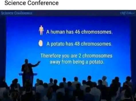 Just Two Chromosomes Away From Being A Potato