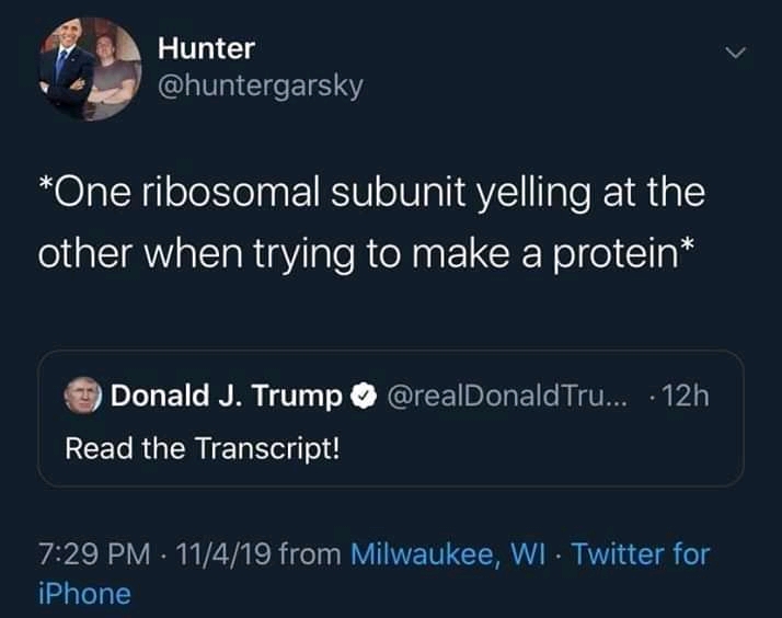 Screams In Aminoacids