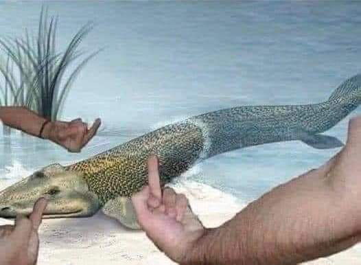 F*ck You Fish: The Evolutionary Troublemaker