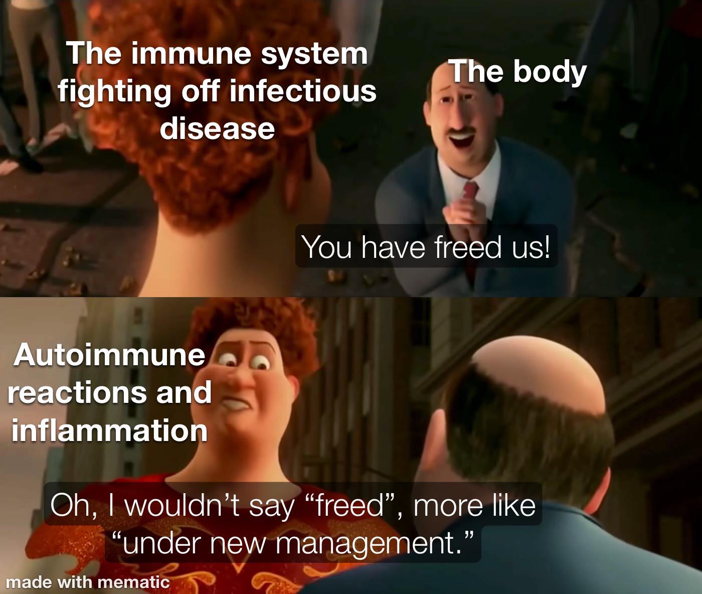 The Immune System: Your Body's Overzealous Bouncer