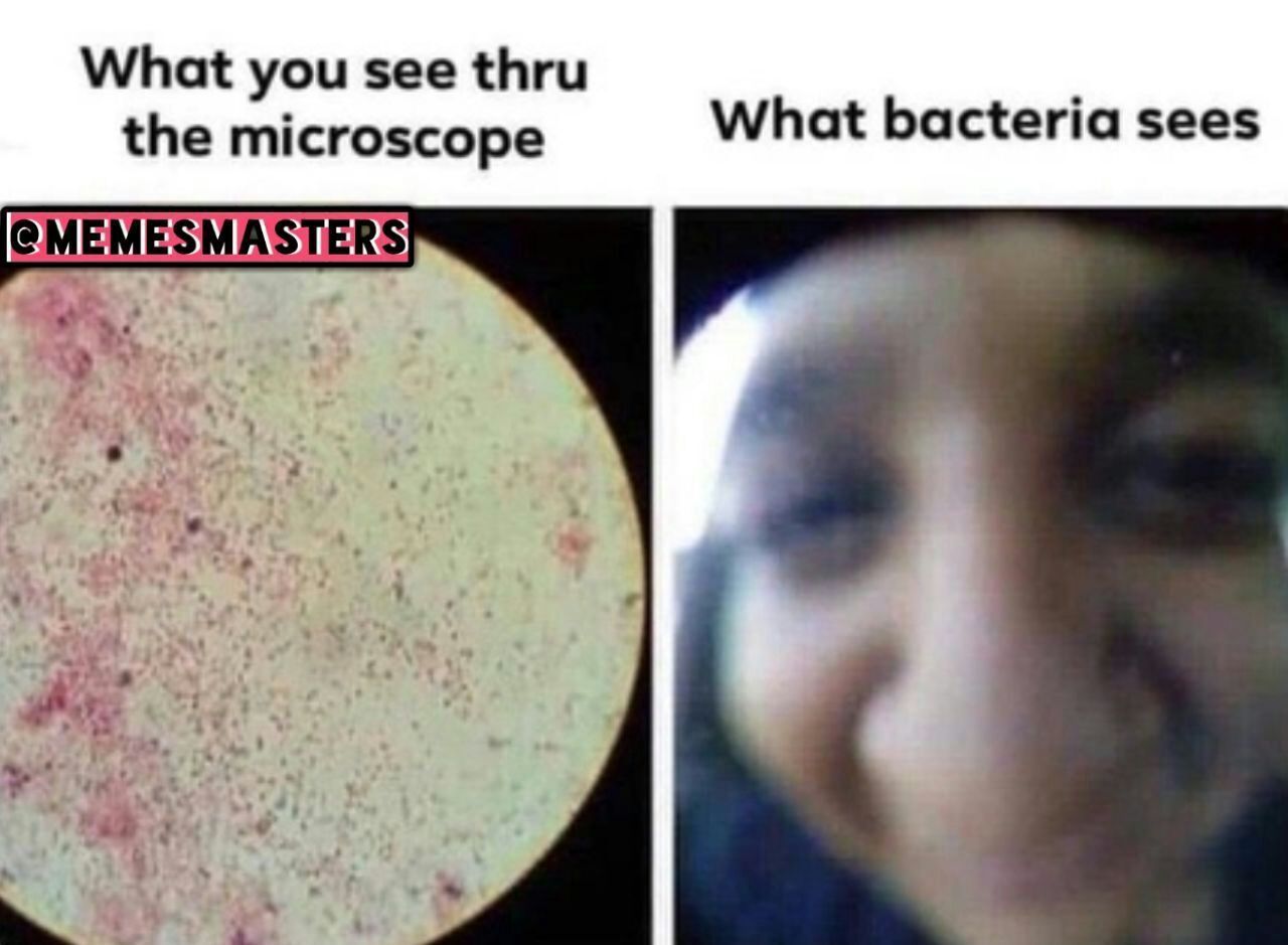 Poor Little Bacteria