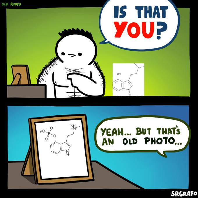 When Your Molecules Have An Identity Crisis