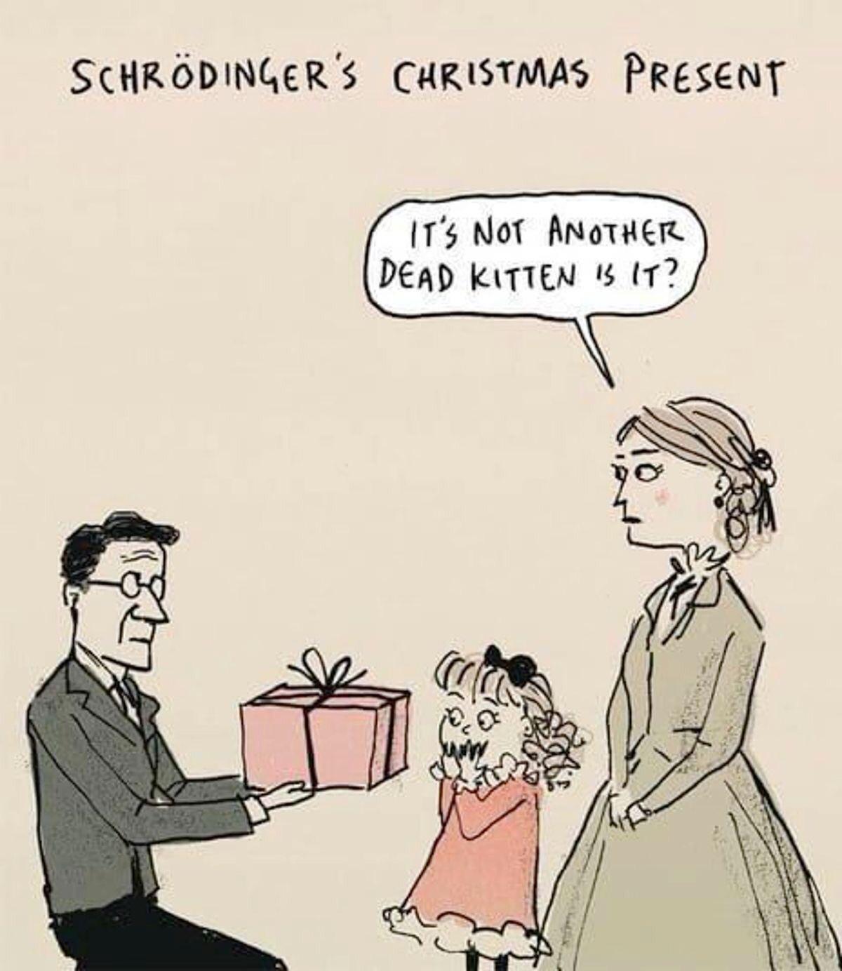 Schrödinger's Christmas Present