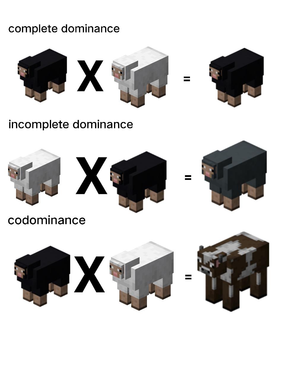 Minecraft Mendel: When Genetics Gets Blocky