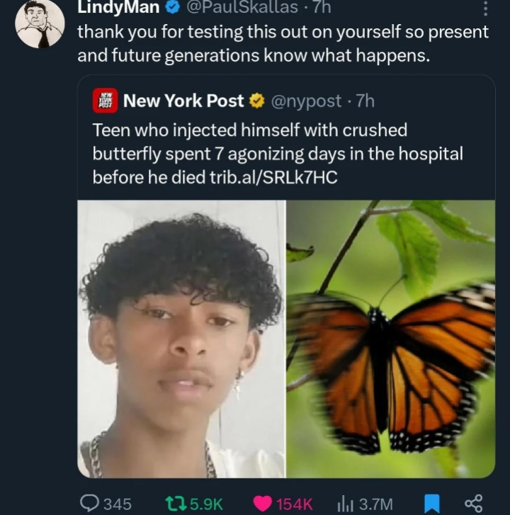 The Butterfly Effect: When Curiosity Kills