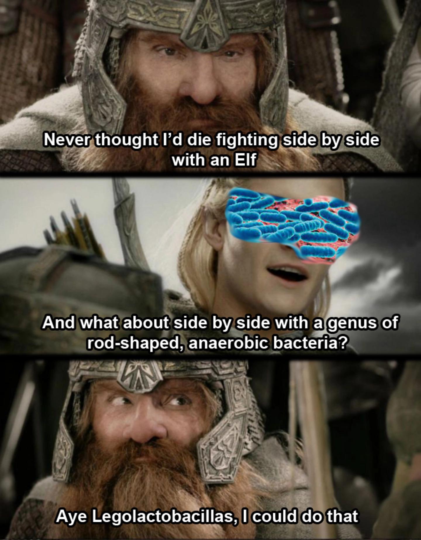 Lord Of The Probiotics