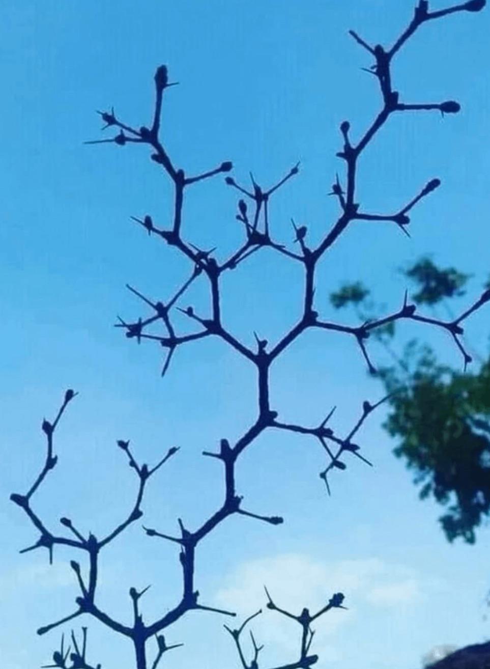 Nice, But Now Write The IUPAC Name