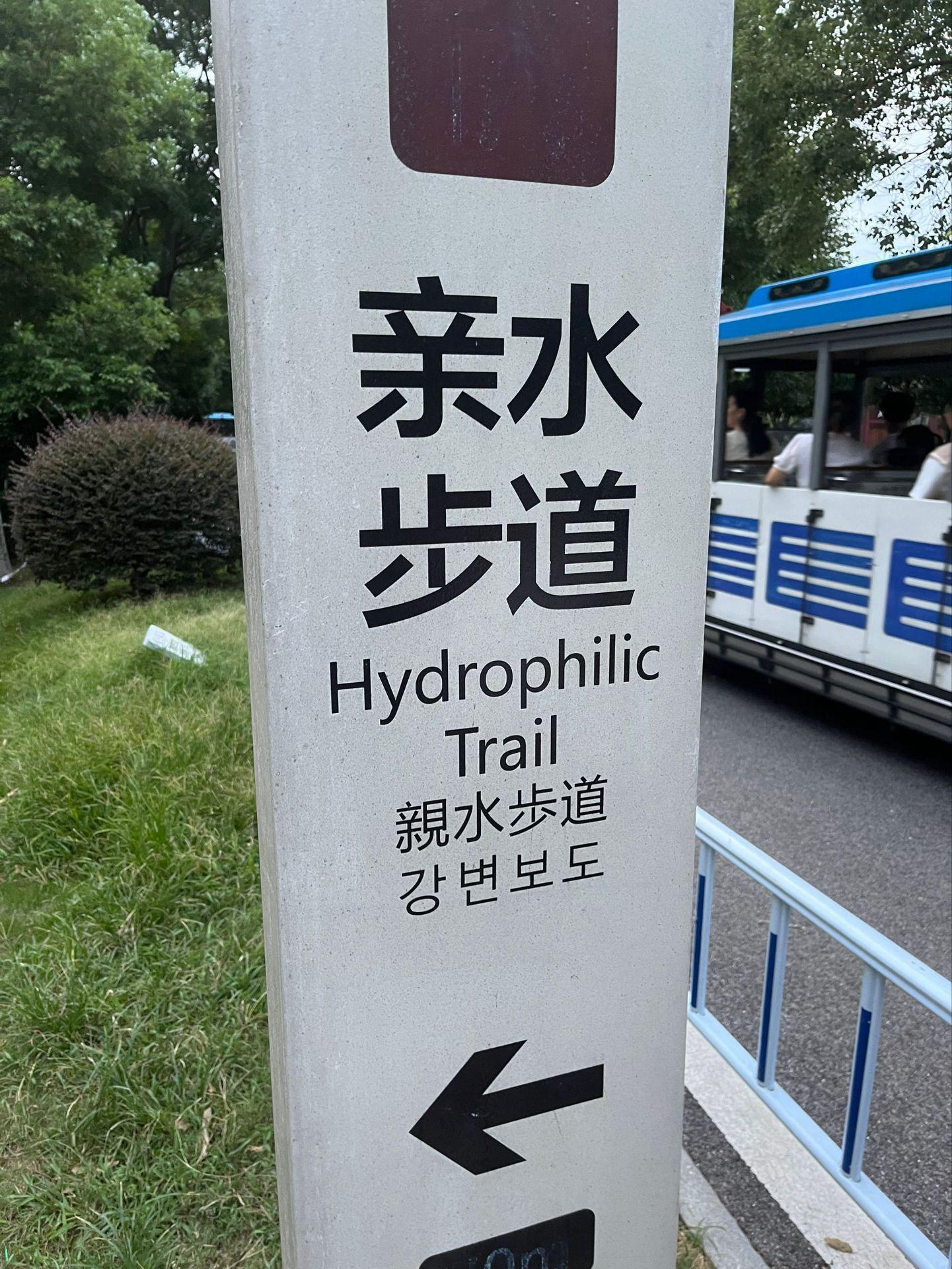 Hydrophilic Trail: Where Water Molecules Go For Vacation