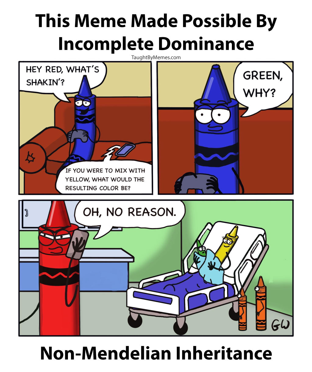 The Crayon Paternity Test