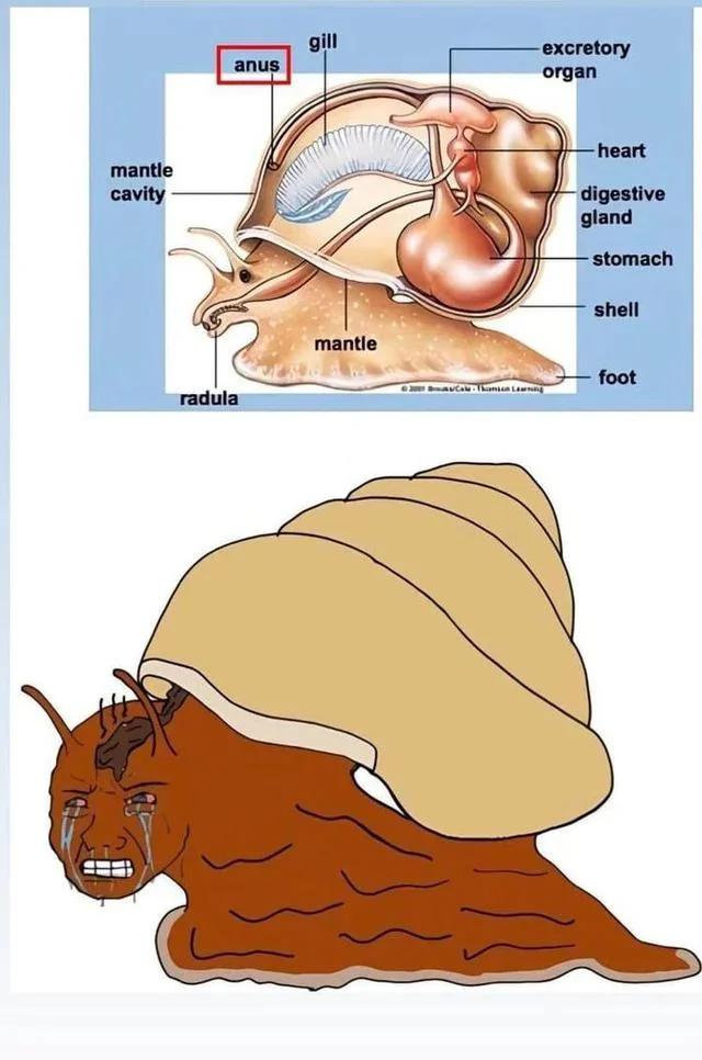 When Anatomy Class Gets Personal