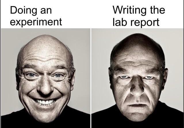 The Two Faces Of Lab Life
