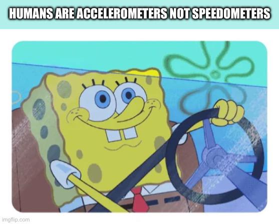Humans Are Accelerometers Not Speedometers