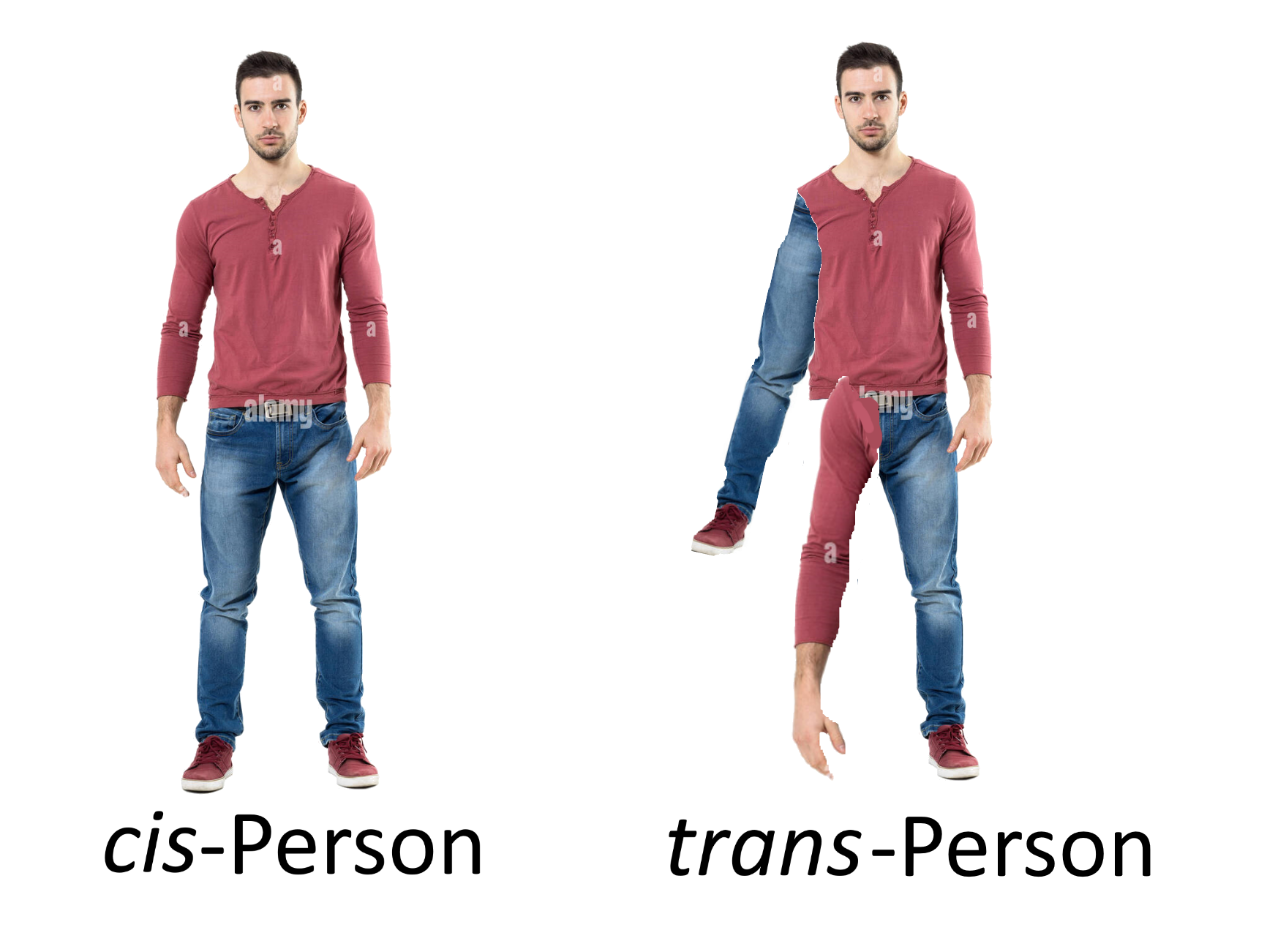 Isomerism Explained: The Human Configuration