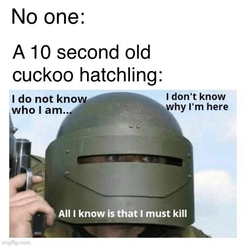 Lays Egg With Murderous Intent
