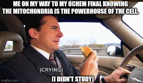 I Promise I Studied