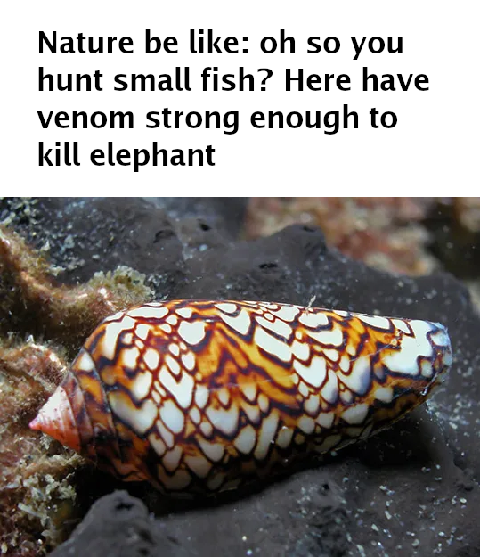 Nature's Tiny Assassins