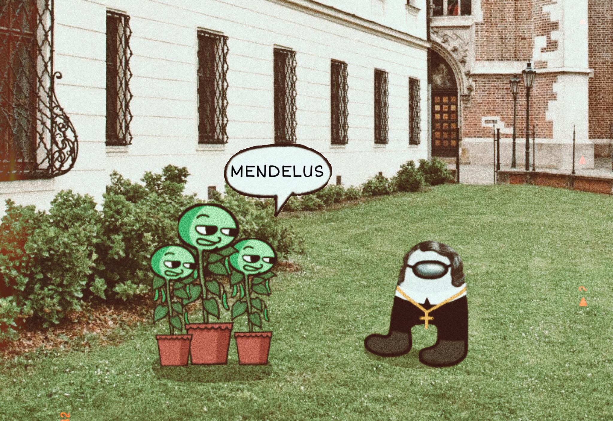 When Mendel Is Sus!