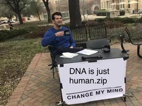 Shout Out To Helicase, The Original File Unzipper