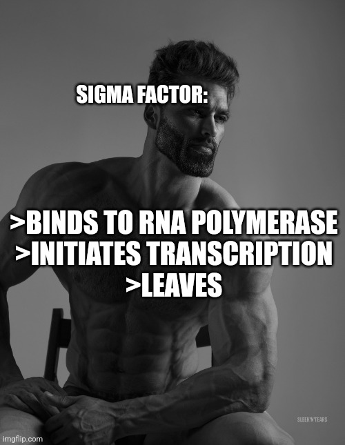 Sigma Factor: The Molecular Biology Chad