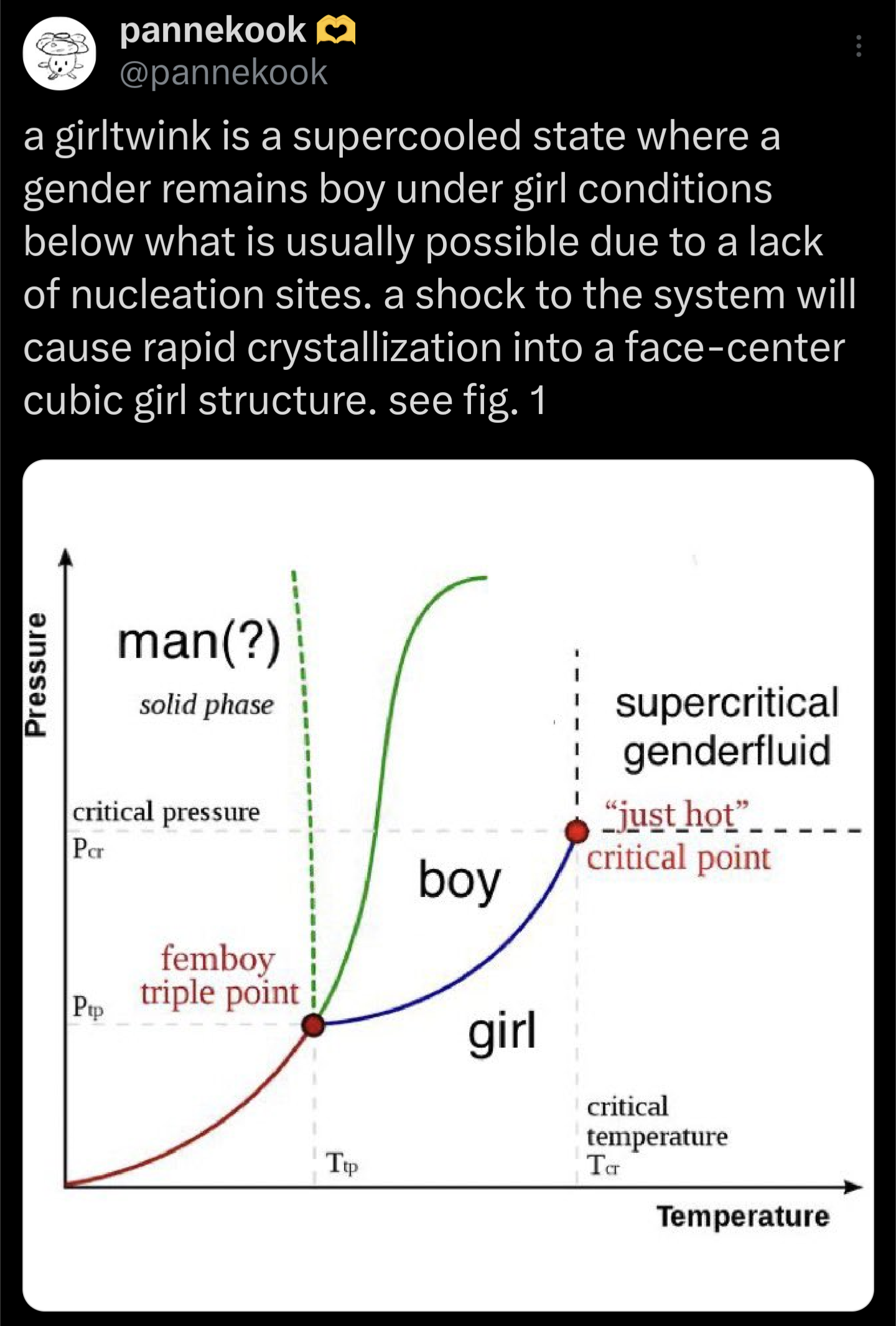 The Thermodynamics Of Gender Phase Transitions
