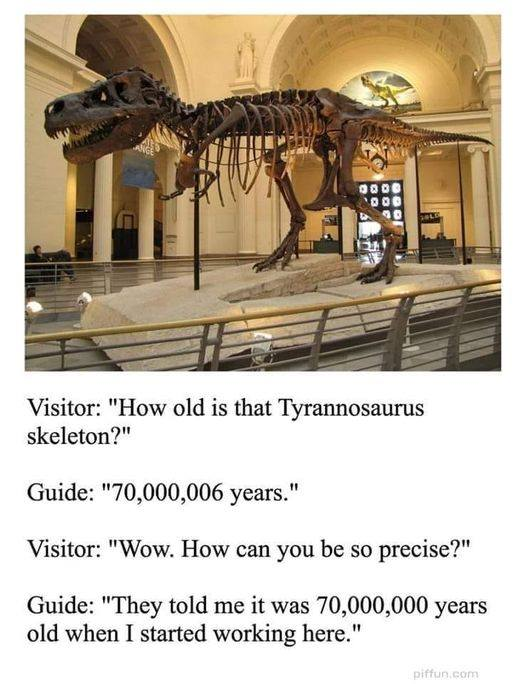 Paleontological Precision At Its Finest