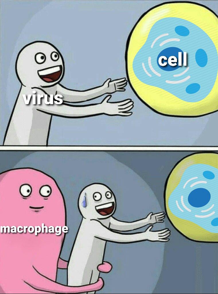 Hey There Bud...Time To Be Endocytosed