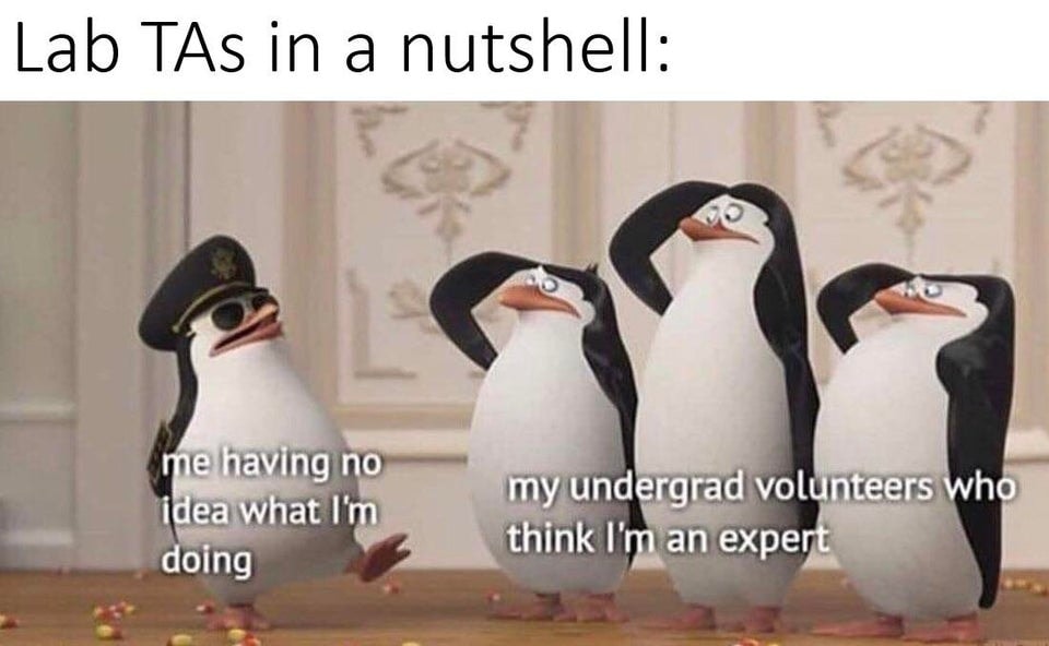 Lab TAs In A Nutshell