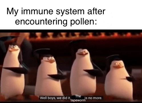 Mission Accomplished: Immune System vs. Innocent Pollen