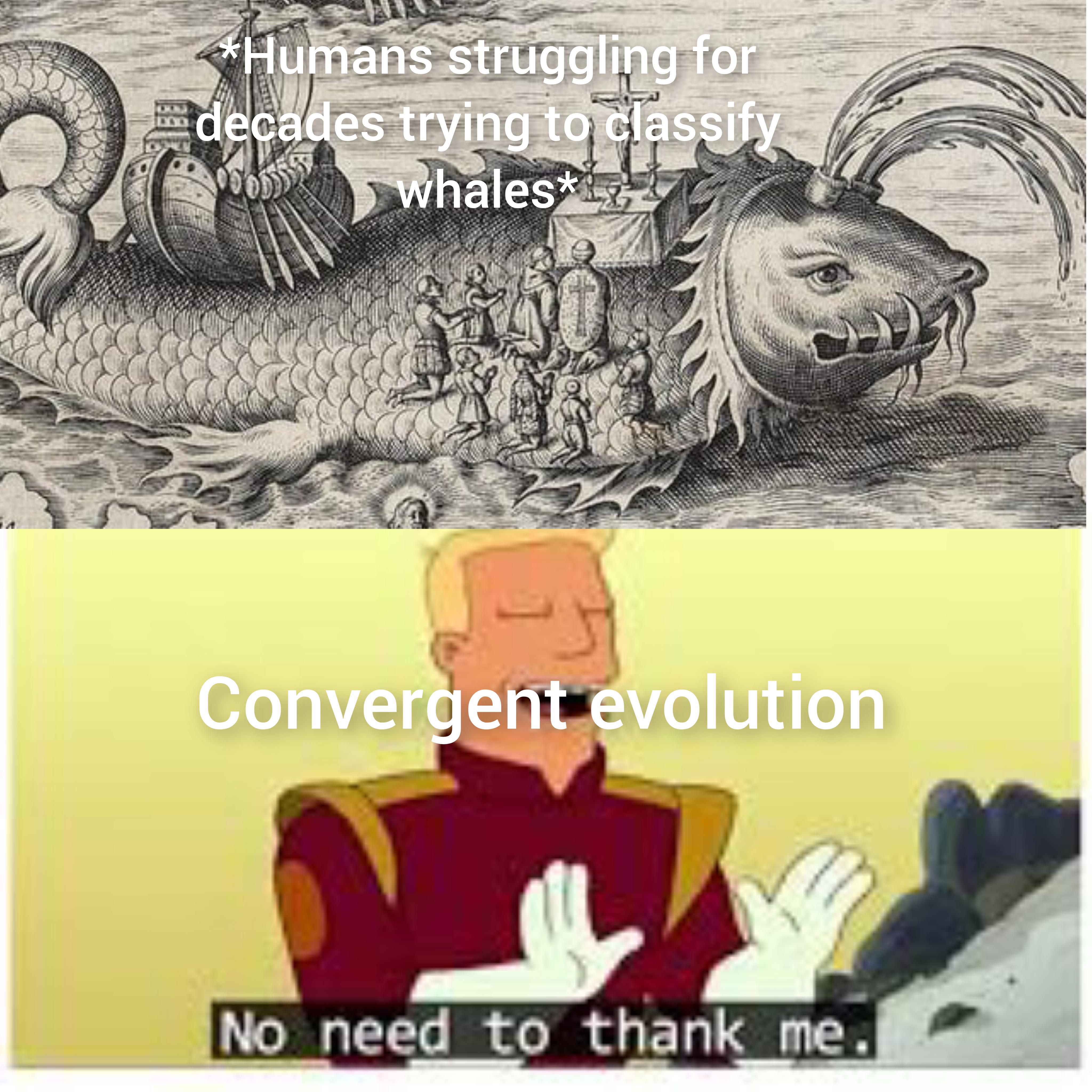 But These Illustrations Are Fun At Least