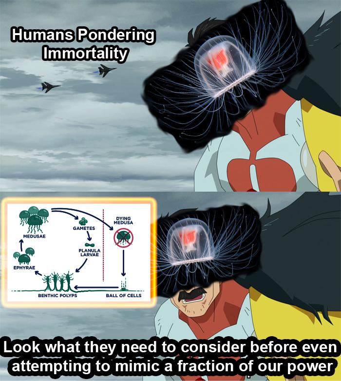 Pathetic Mortals