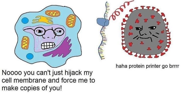 Viral Hijacking For Dummies