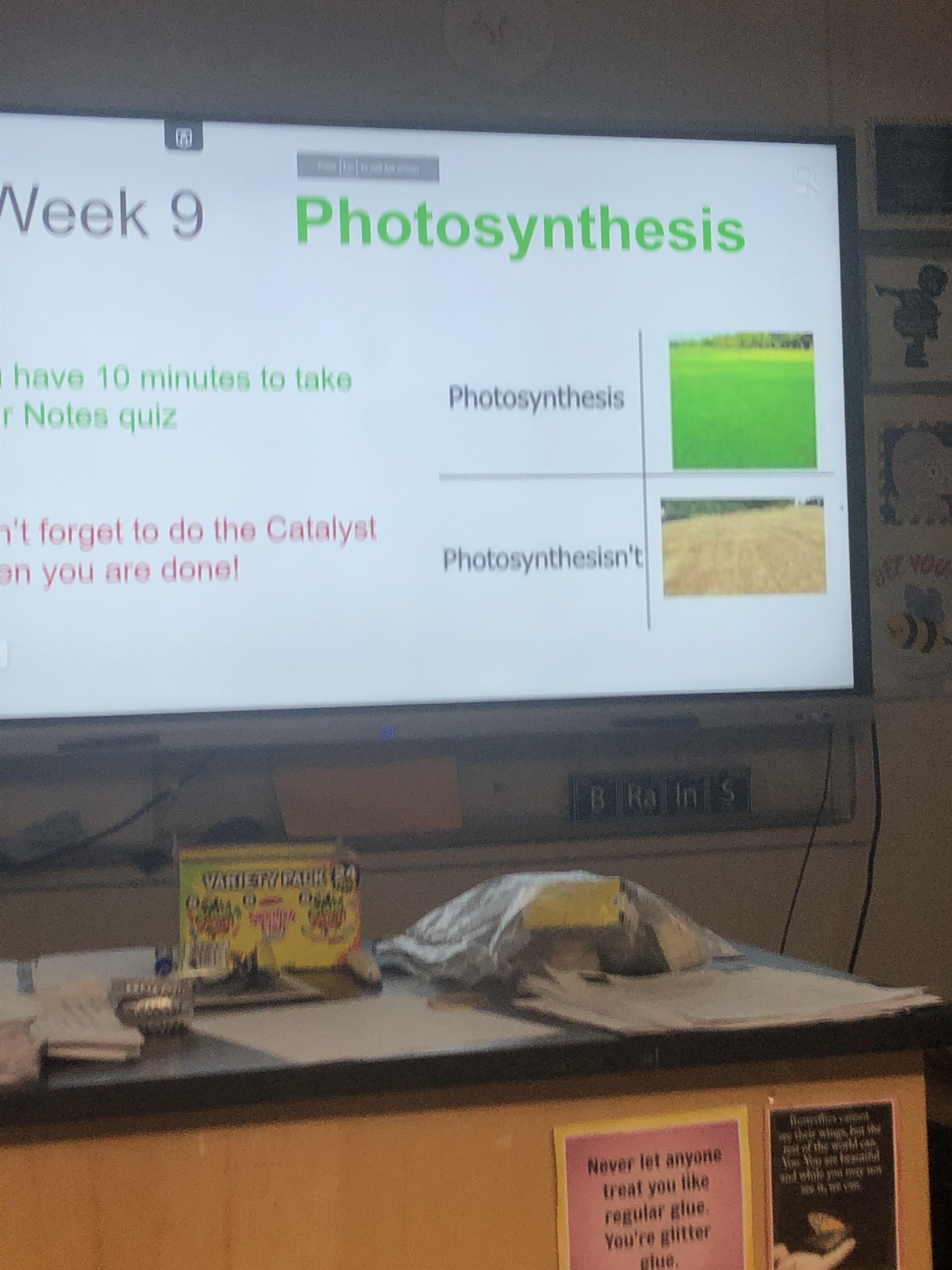 Photosynthesis vs. Photosynthesisn't: The Ultimate Dad Joke