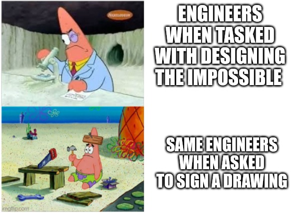The Dual States Of Engineering Existence