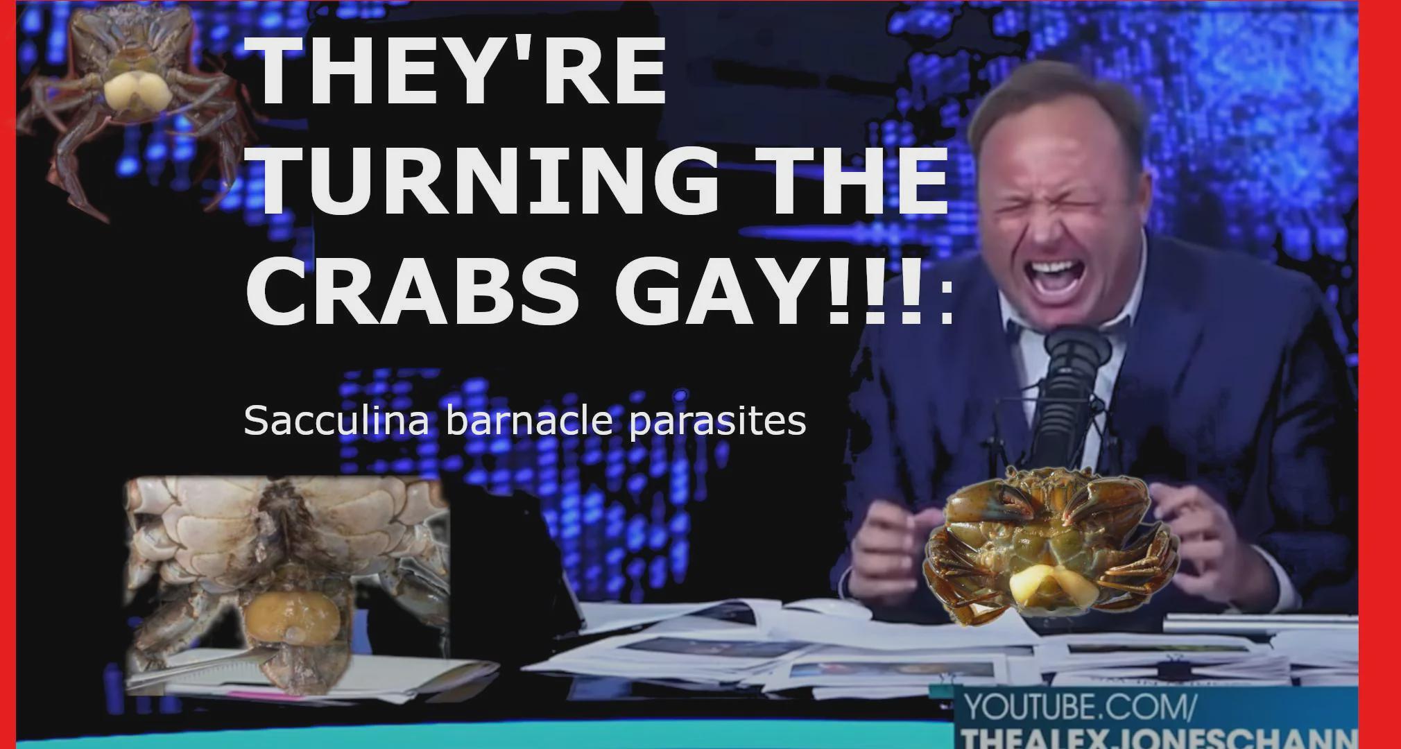 Nature's Ultimate Gender Hackers
