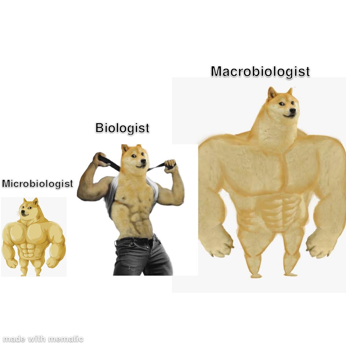 Size Matters In The Biology Department
