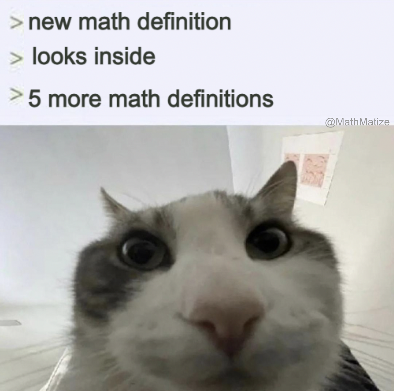 The Recursive Rabbit Hole Of Mathematics