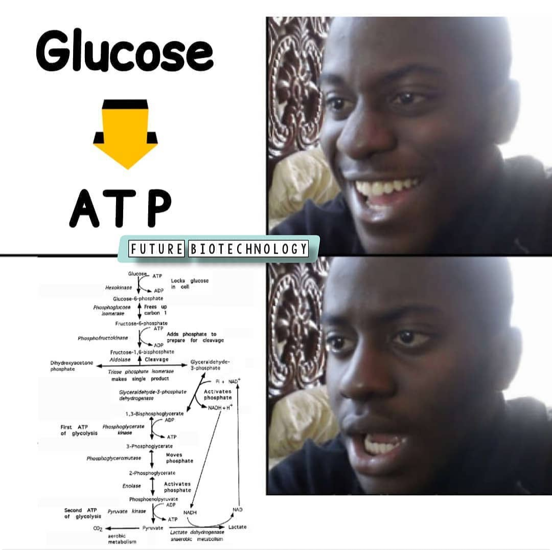 From Simple Sugar To Metabolic Nightmare