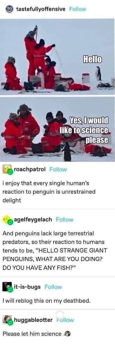 Kowalski, Report: When Penguins Want To Join Your Research Team
