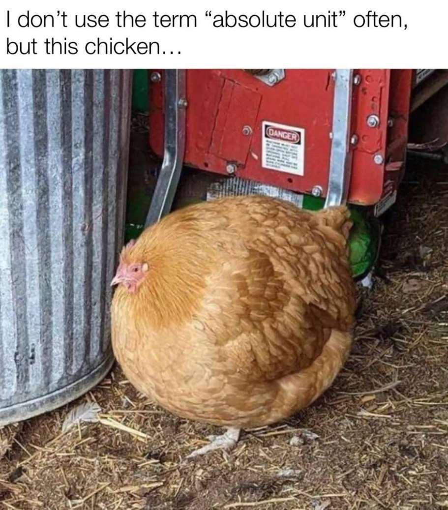 The Perfect Spherical Chicken