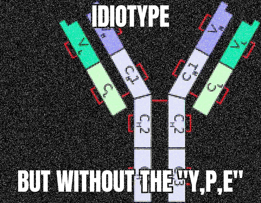 Antibody Insults: No Immunity To This Burn