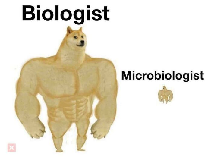 Macro Biologist Vs. Micro Biologist
