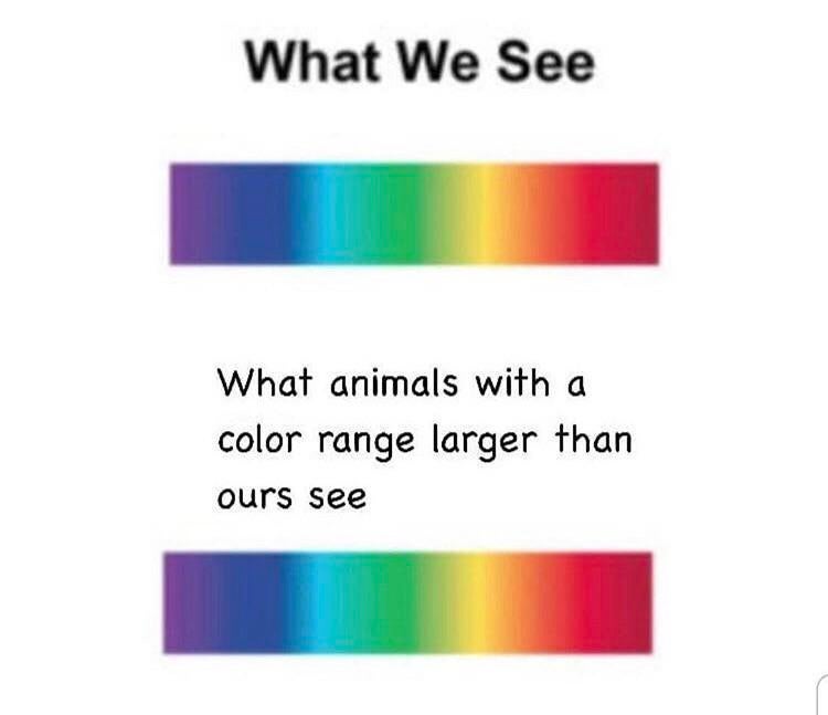 The Spectrum Of Self-Deception