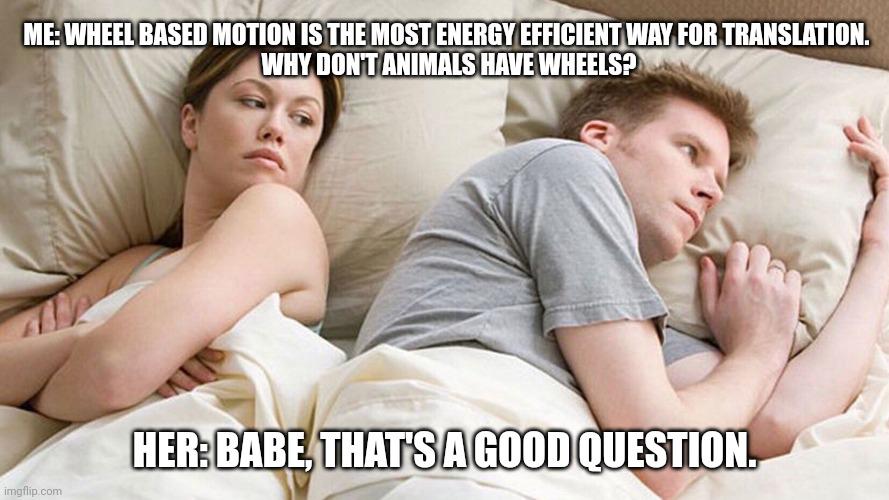 When Engineering Logic Meets Evolutionary Biology