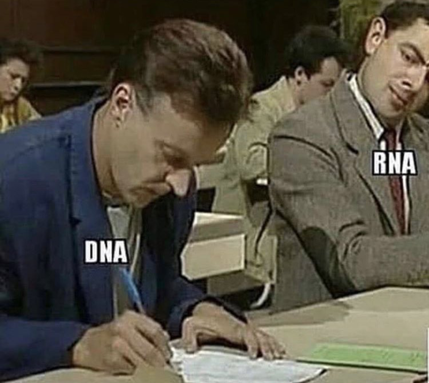 DNA Does The Heavy Lifting
